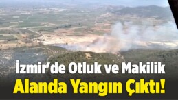 İzmir’de Otluk ve Makilik Alanda Yangın