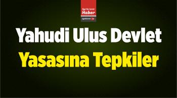 Yahudi Ulus Devlet Yasasına Tepkiler