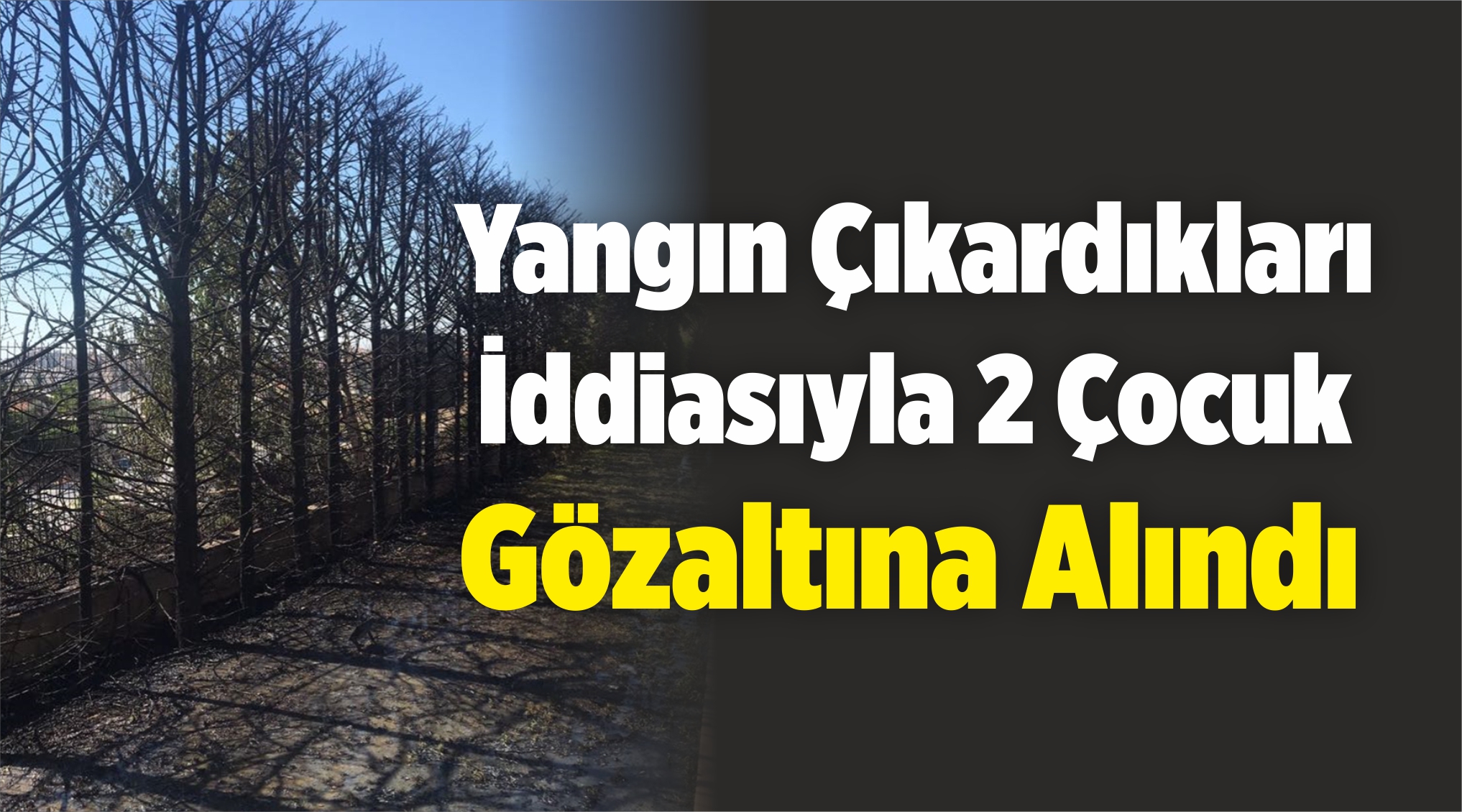 2 Çocuk
