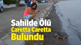İzmir’in Aliağa Sahilinde Ölü Caretta Caretta Bulundu