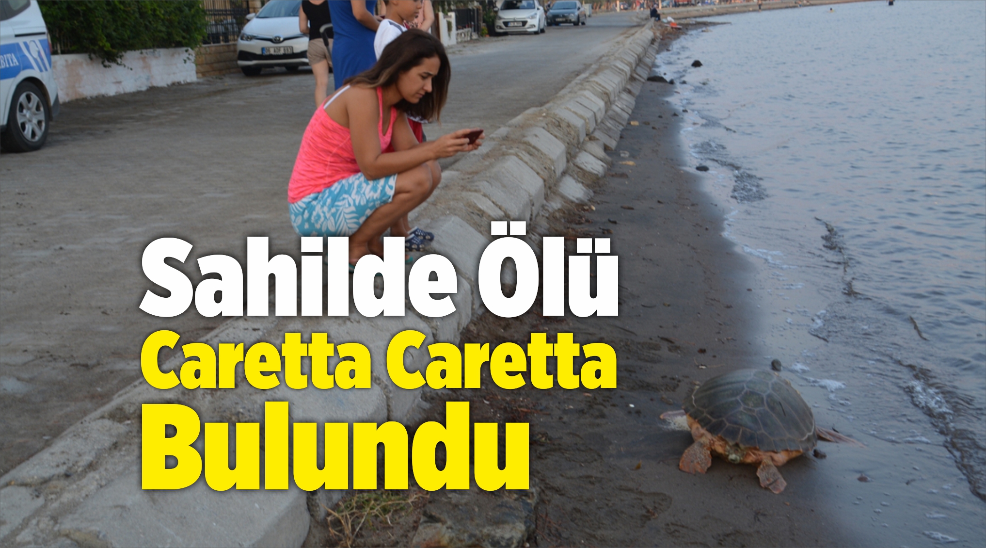 Caretta Caretta