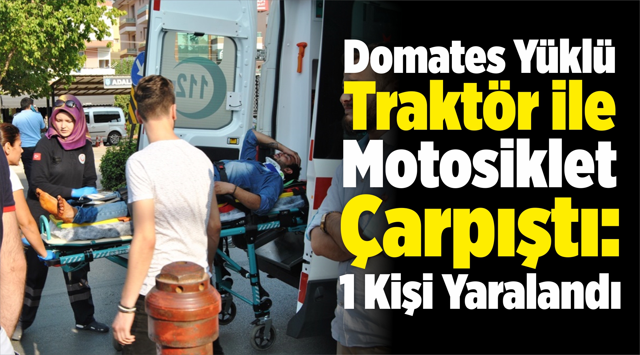 Domates Yüklü