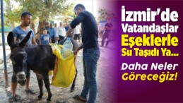 İzmir’in “Susuz Mahallesinde” Eşeklerle Su Taşınıyor