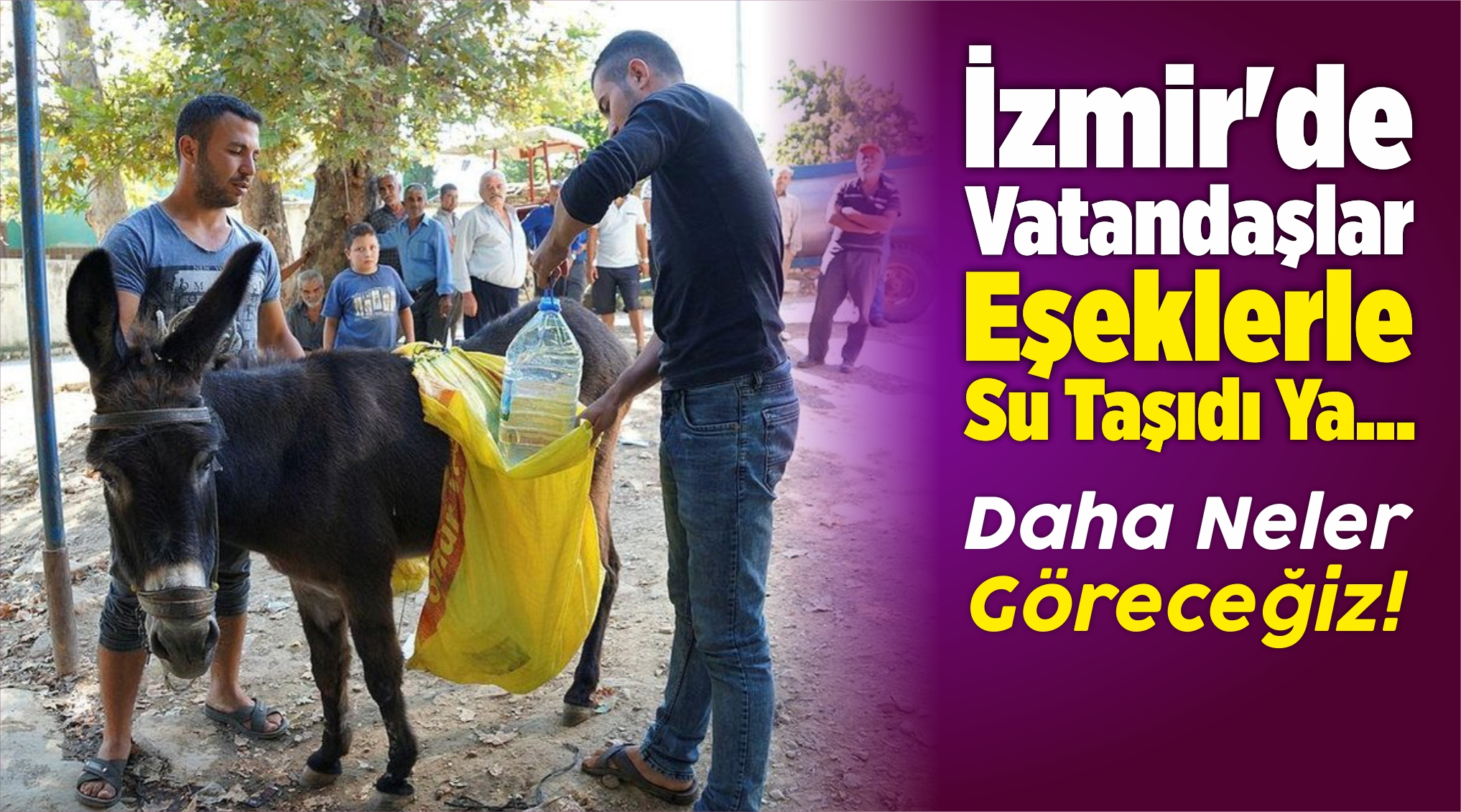 Eşeklerle