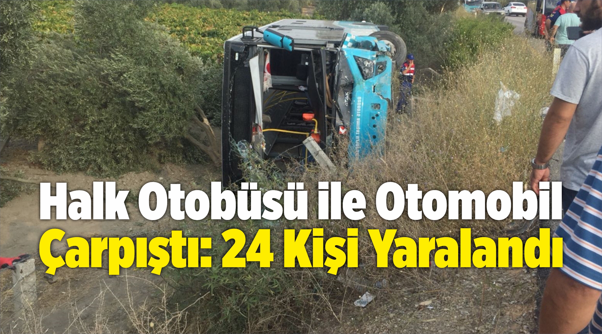 Halk Otobüsü