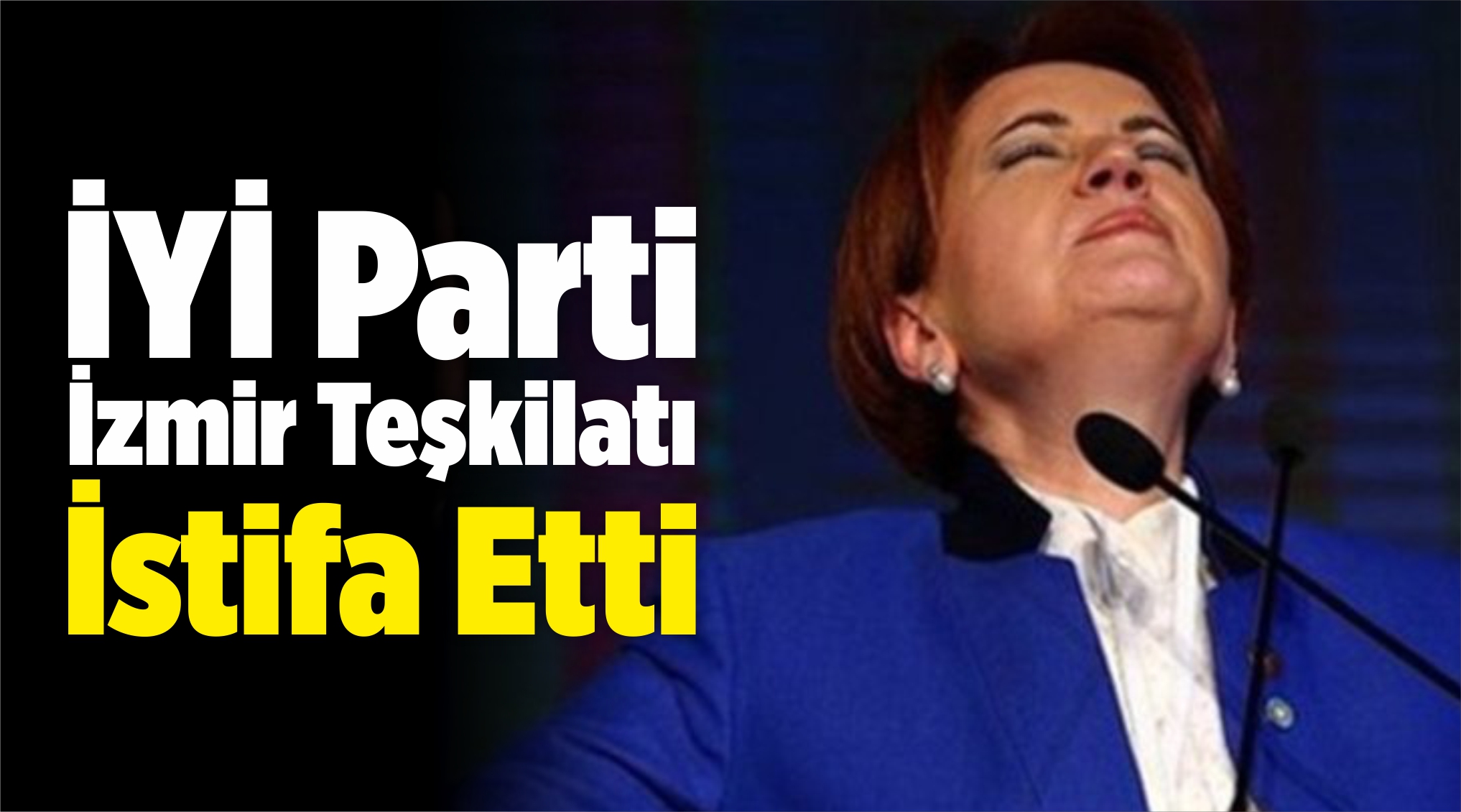 Yönetim Kurulu