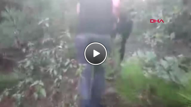 Kütahya da Ormanlık Alanda 8 Kilo Esrar Maddesi Ele Geçirildi