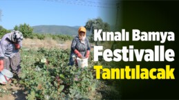 Kınalı Bamya Festivalle Tanıtılacak