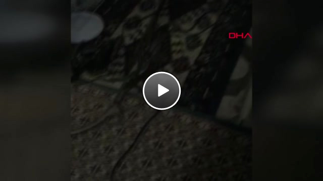 Muğla Eve Giren Yılan, İtfaiye Tarafından Yakalandı