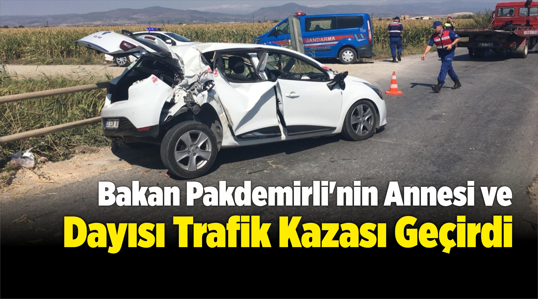 Dayısı