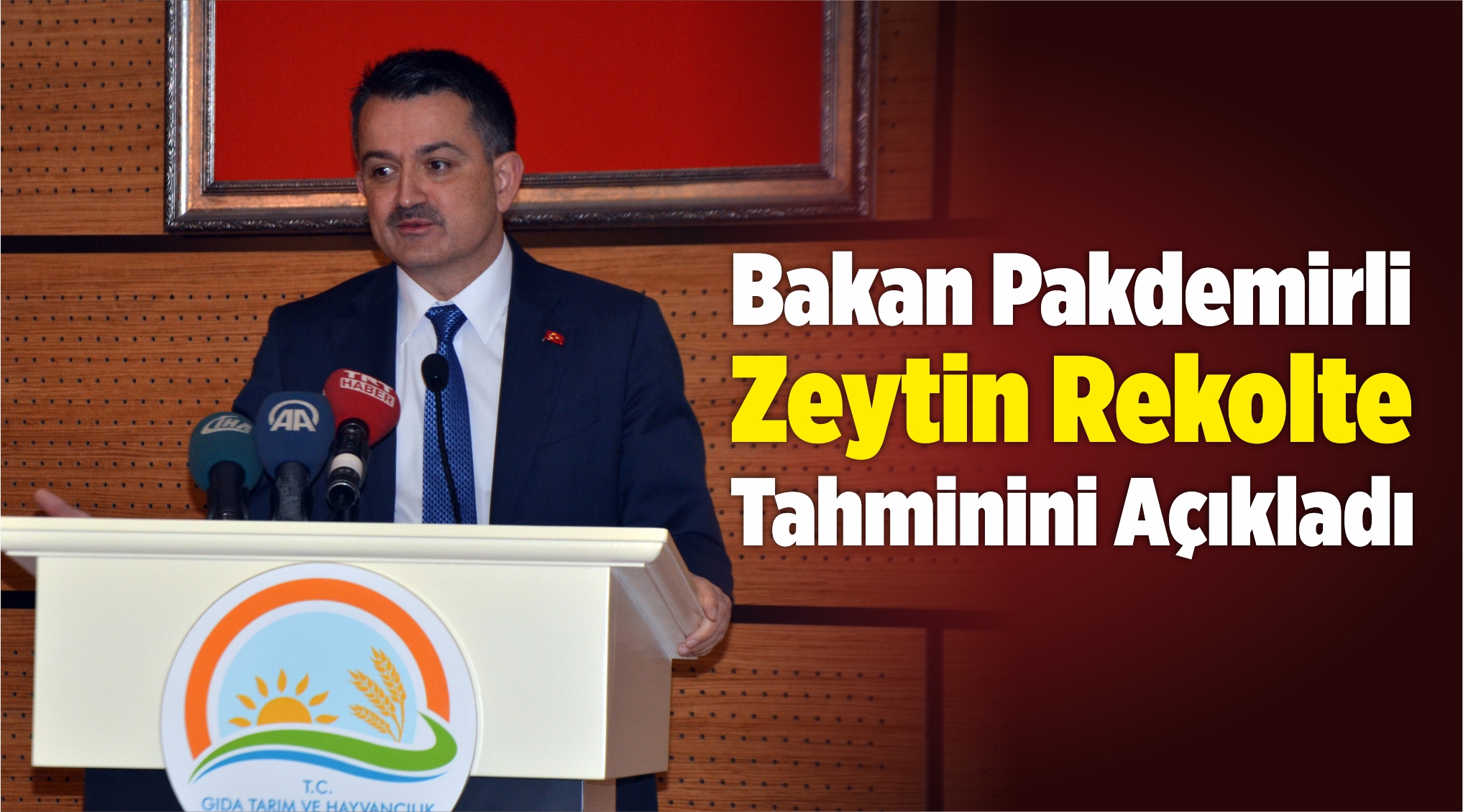 Zeytin Rekolte