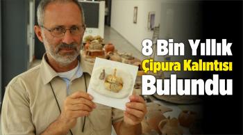 8 Bin Yıllık Çipura Kalıntısı Bulundu