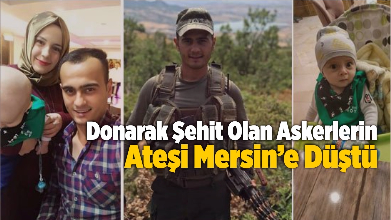 Donarak