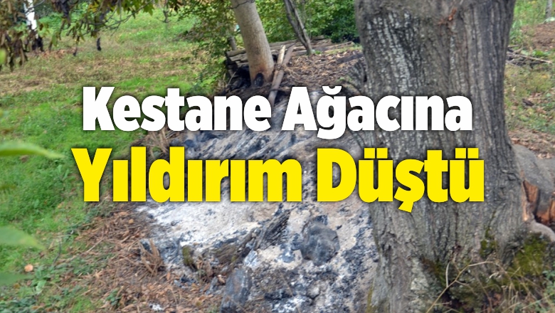 Yıldırım Düştü