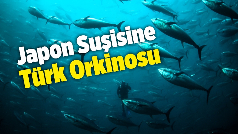 Orkinos