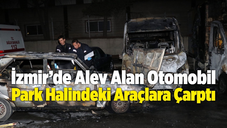 Alev Alan