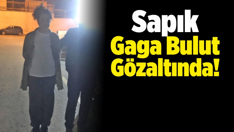 Sosyal Medya