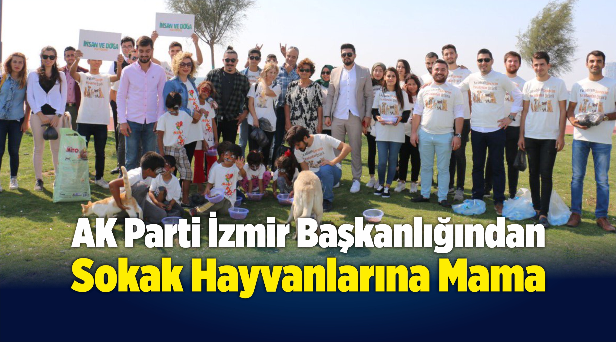 Sokak Hayvanları