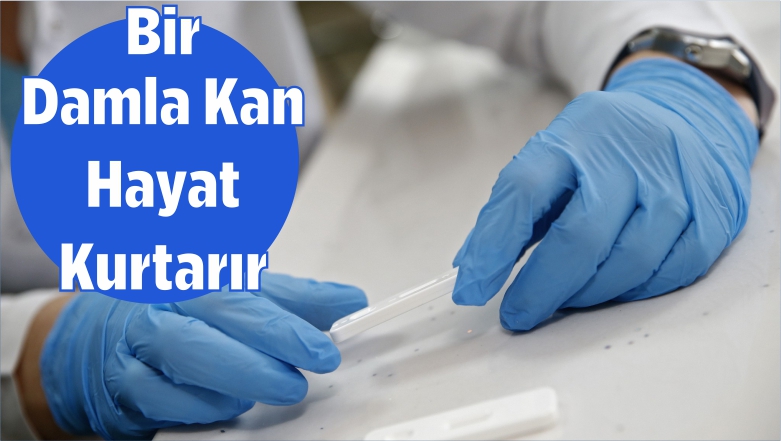 Hayat