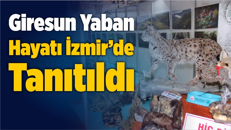 Yaban