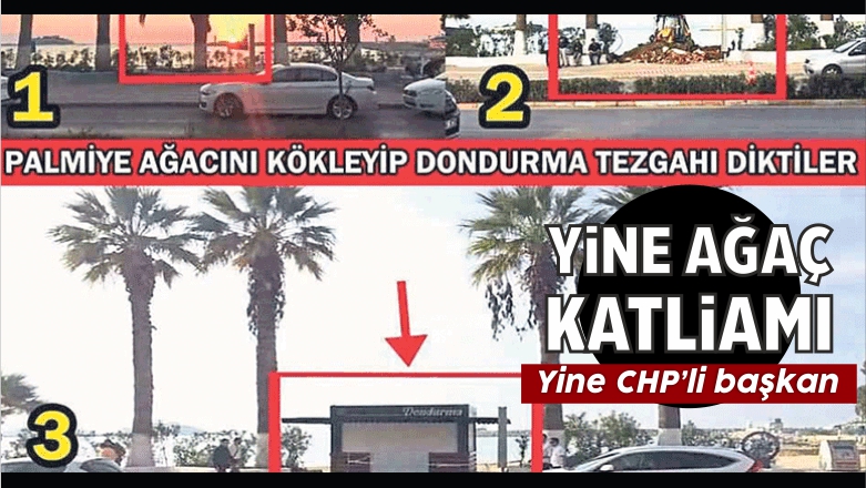 Ağaç Kesmesinin