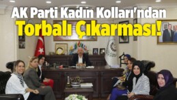 AK Parti İzmir Kadın Kolları’ndan Torbalı Çıkarması!