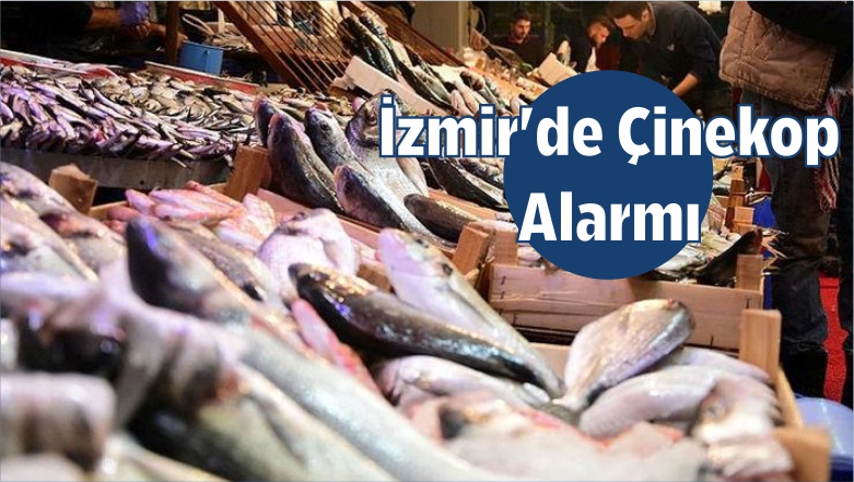 Çinekop