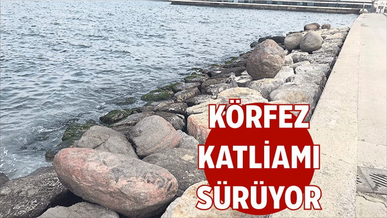 Belirlendİ