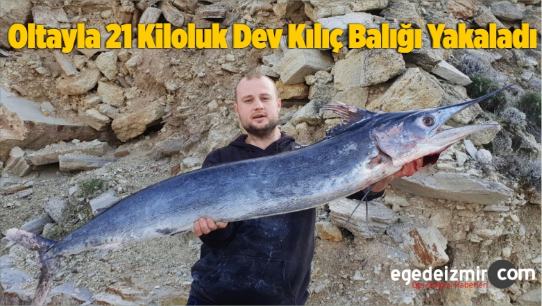 Dev Kılıç Balığı