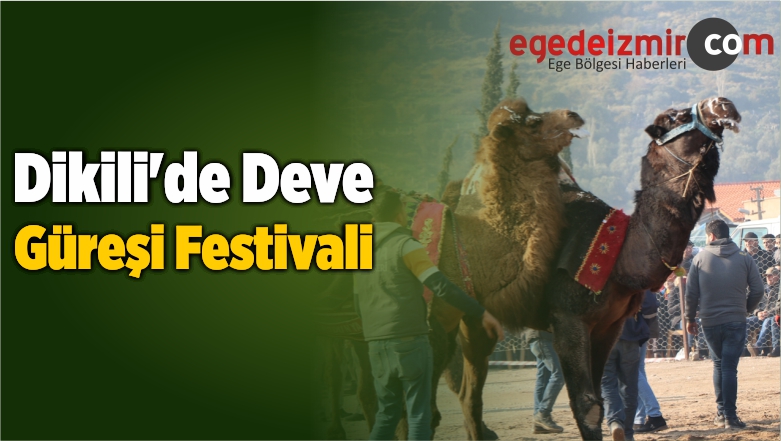 Deve Güreşi Festivali