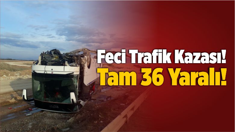 Feci Trafik Kazası