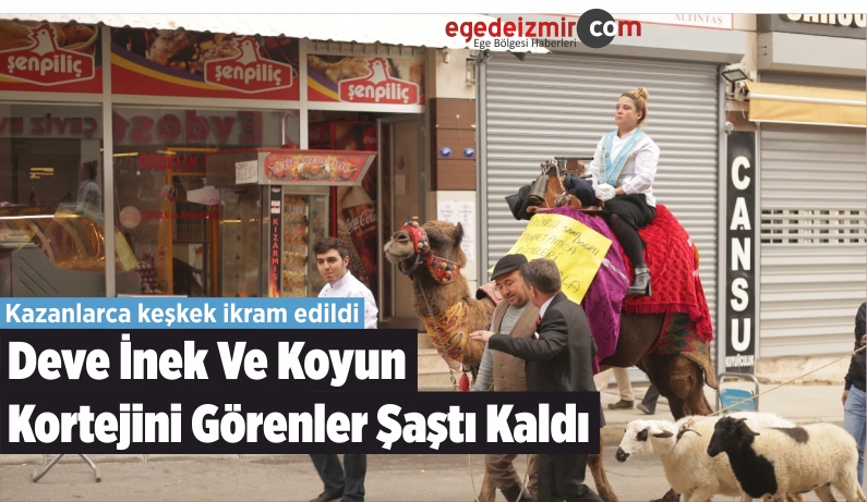 Koyun Kortejini Görenler Şaştı Kaldı