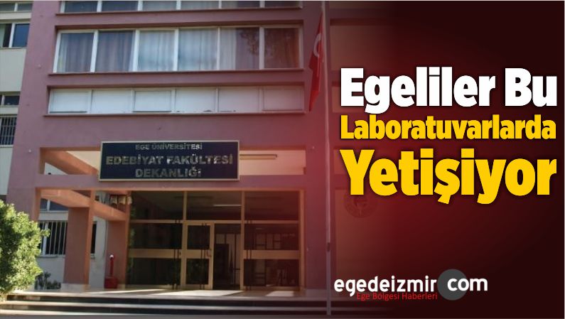 Laboratuvarlarda Yetişiyor