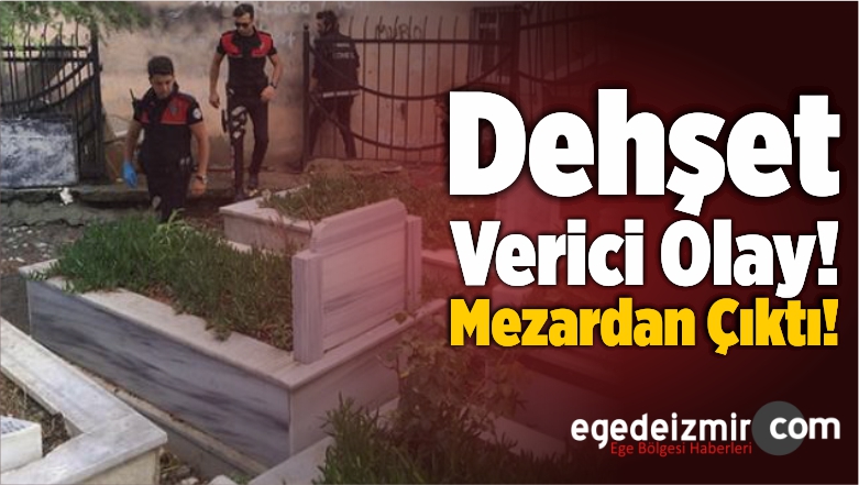 Mezardan Çıktı