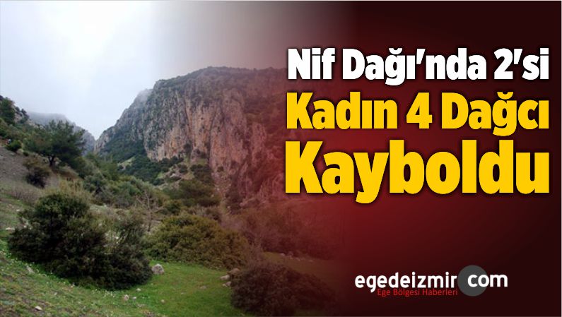 Operasyon başlatıldı