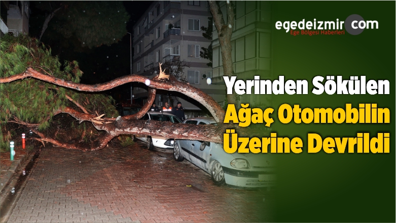 Otomobilin Üzerine Devrildi