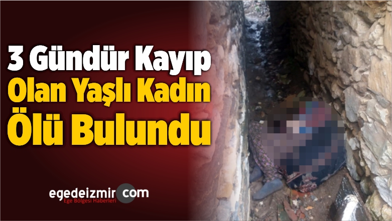 Yaşlı Kadın Ölü Bulundu