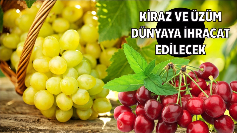 dünyaya ihracat