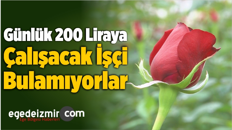 Üreticiler