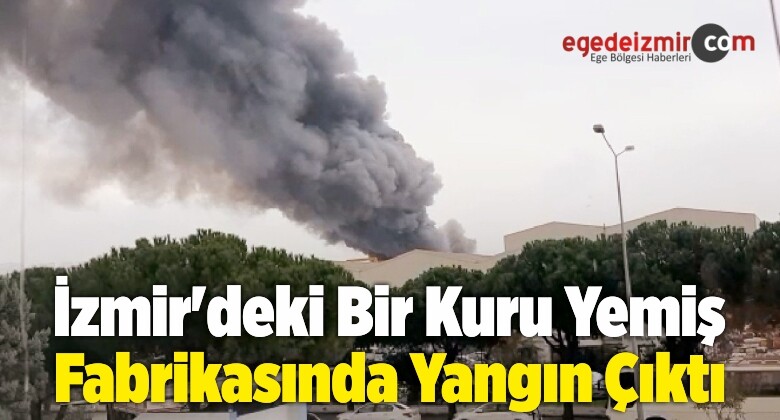 İzmir’deki Bir Kuru Yemiş Fabrikasında Yangın Çıktı