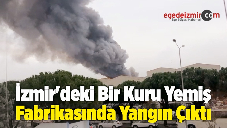 Kuru Yemiş Fabrikasında