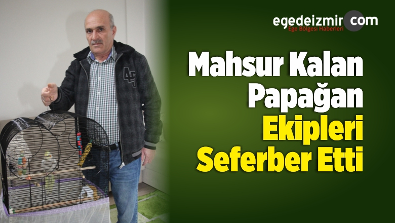 Papağan