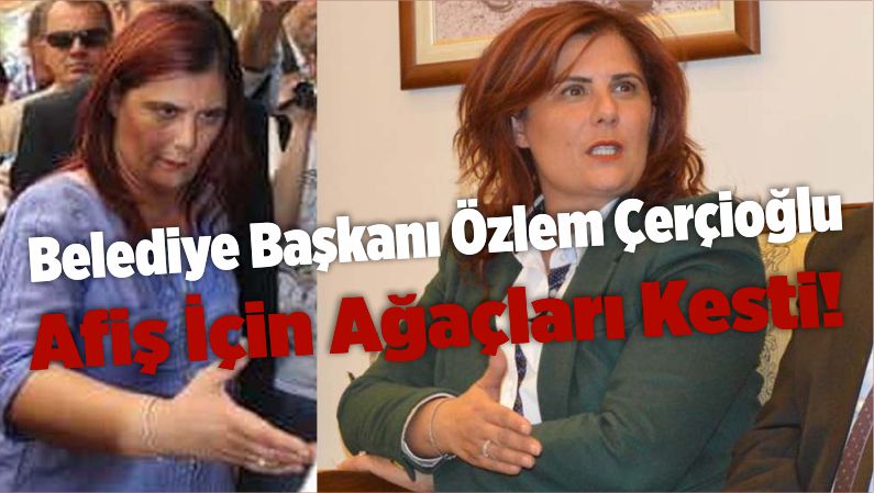Afiş İçin Ağaçları Kesti