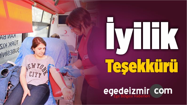 Gönüllü Hareketi