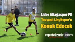 Lider Aliağaspor FK, Tavşanlı Linyitspor’u Konuk Edecek