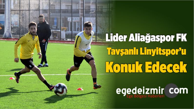 Lider Aliağaspor FK