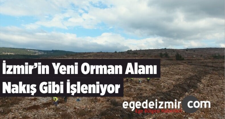 İzmir’in Yeni Orman Alanı Nakış Gibi İşleniyor