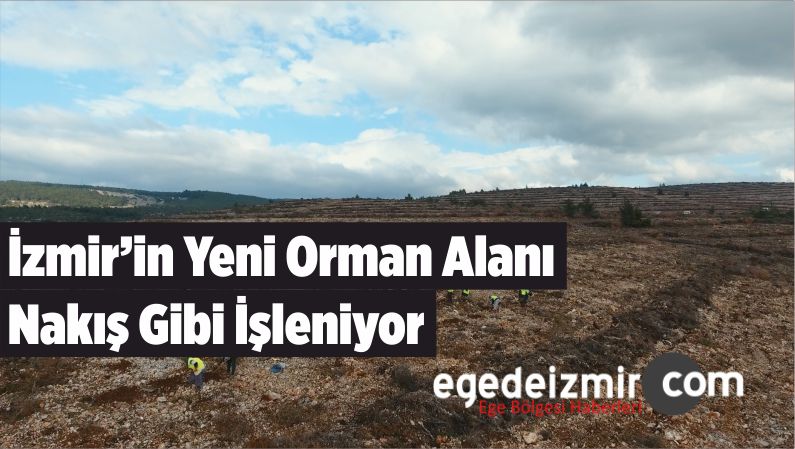 Yeni Orman Alanı Nakış Gibi
