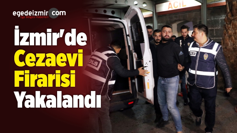 Cezaevi Firarisi