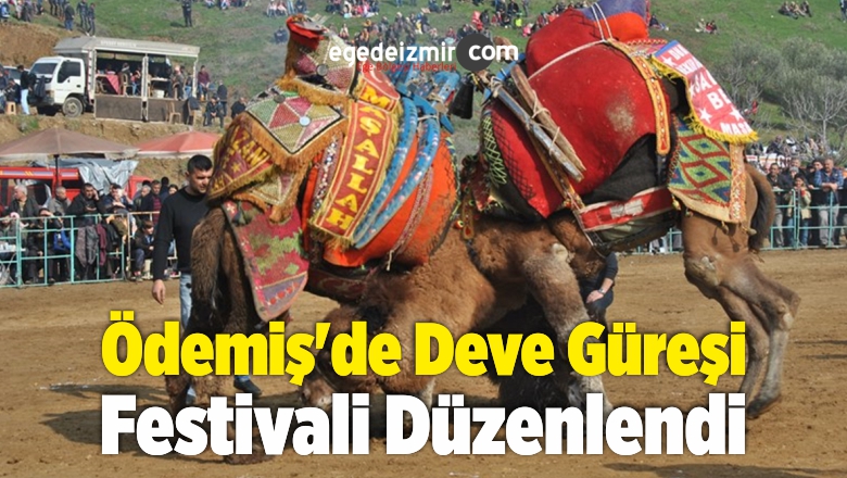 Deve Güreşi
